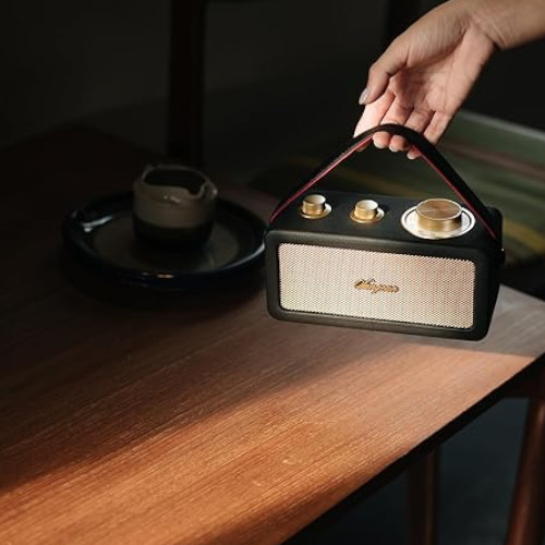 Radio Portátil 10W Sangean SRA101BG Black Gold - foto 3