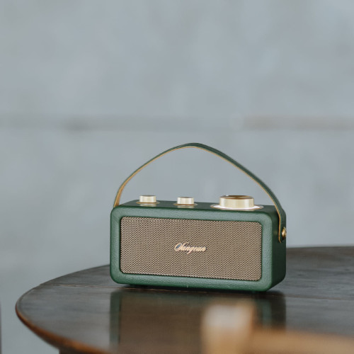 Radio Sangean RA101 Portátil FM Bluetooth TWS AUX Verde Oro - foto 2