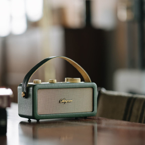 Radio Sangean RA101 Portátil FM Bluetooth TWS AUX Verde Oro - foto 3