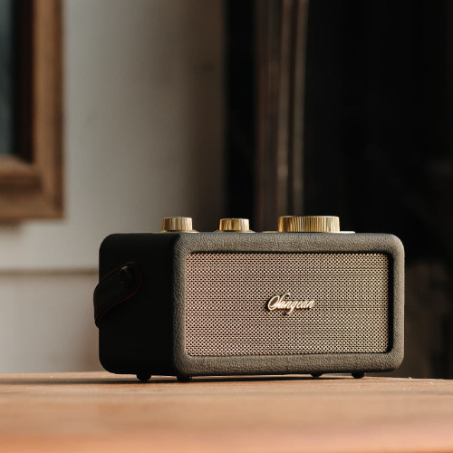 Radio Multifunción Portátil 10W Sangean RA101 Maderan - foto 2